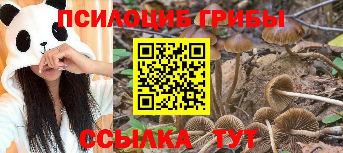 Псилоцибиновые грибы мицелий  Вход с VPN  Галлюциногенные грибы Psilocybine cubensis  дарнет шоп  Бузулук 